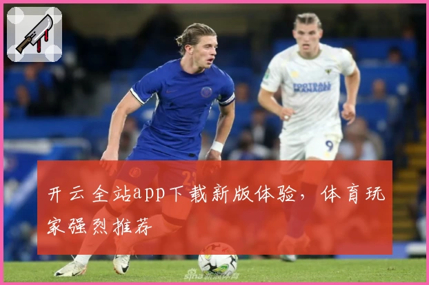 开云全站app下载新版体验，体育玩家强烈推荐