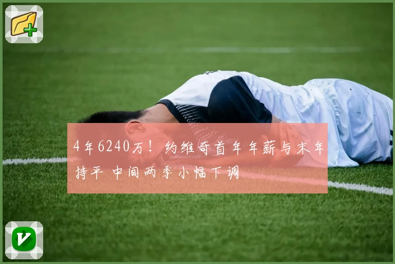 4年6240万！约维奇首年年薪与末年持平 中间两季小幅下调