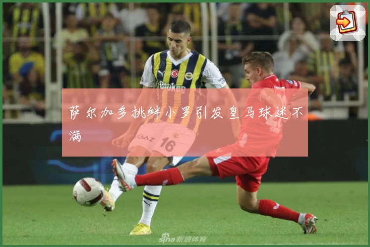 萨尔加多挑衅小罗引发皇马球迷不满