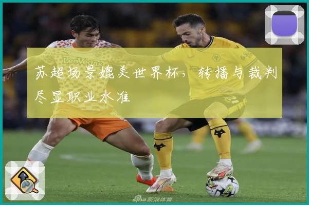 苏超场景媲美世界杯，转播与裁判尽显职业水准